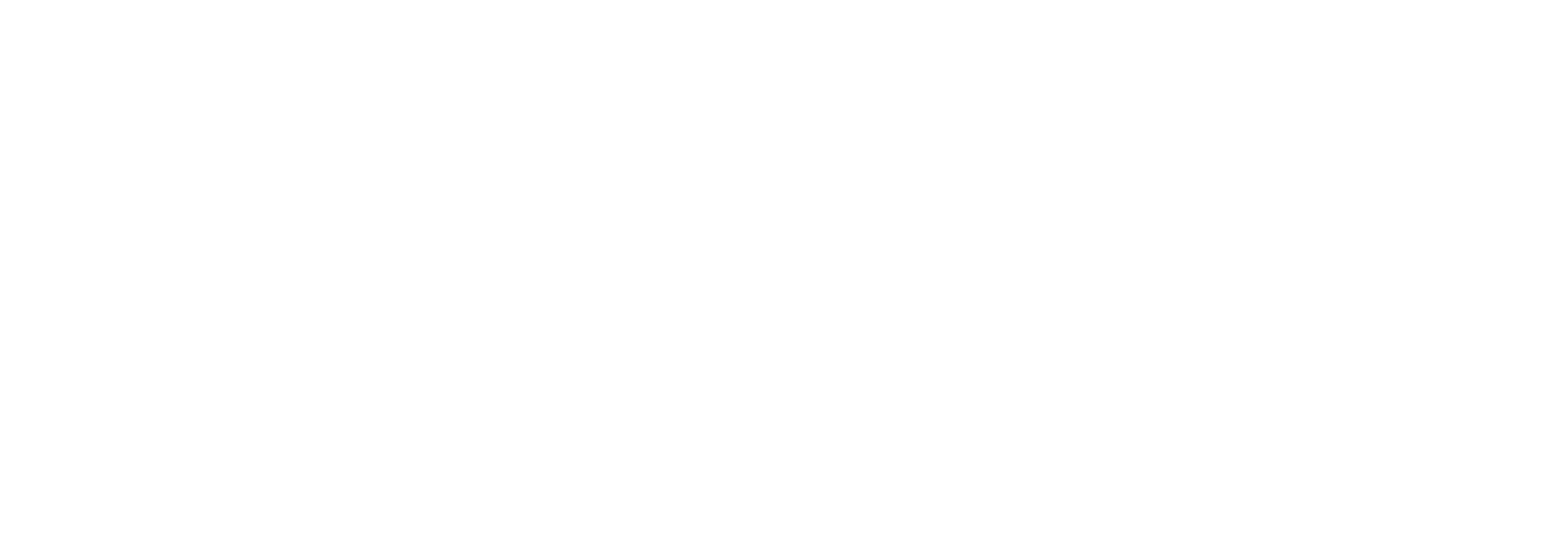 Tanzschule Leichtfuss 01